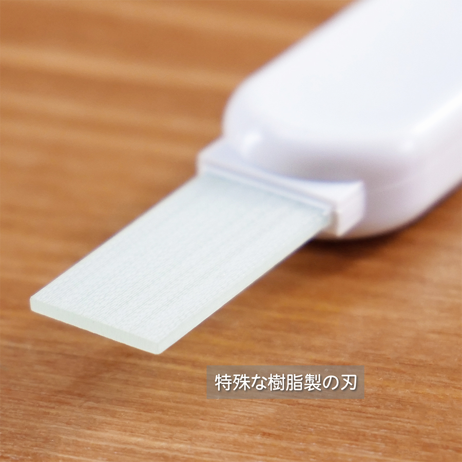 メール便可)セイワ ポリッシュバー PLB-10 陶器のしつこい汚れを