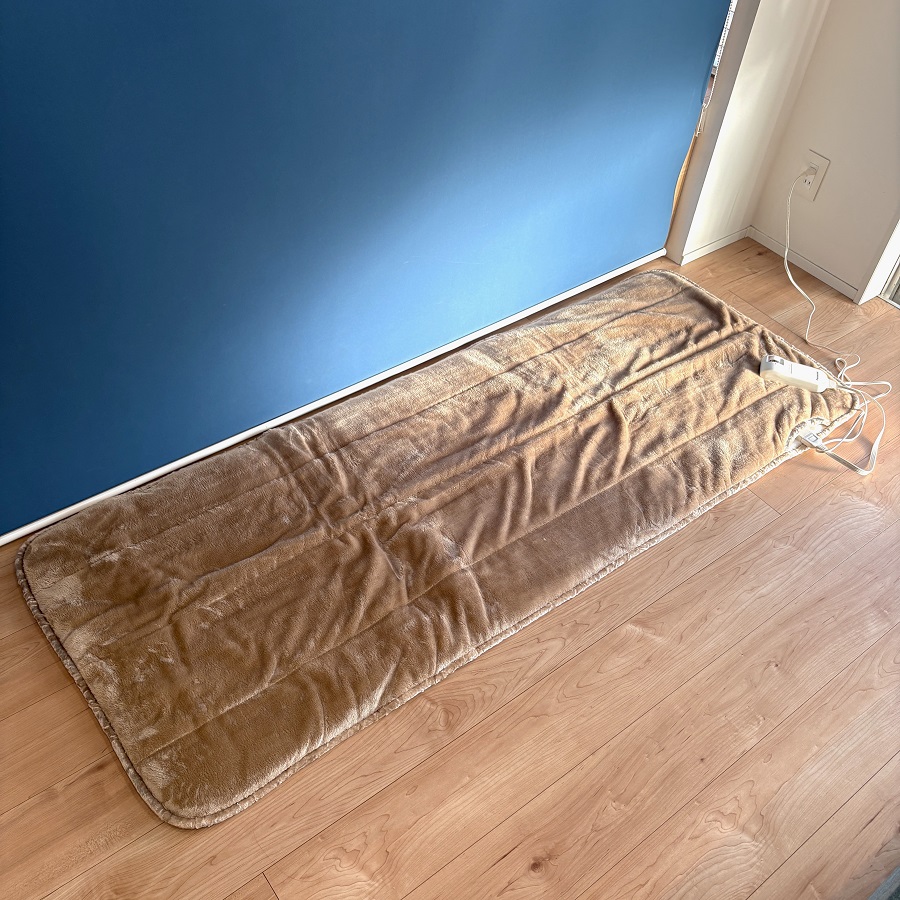 Panasonic DC-SN20-T ライトブラウン ホットマット 180×70cm DCSN20