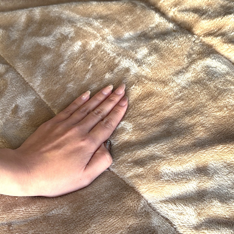 Panasonic(パナソニック) ホットマット  ライトブラウン DC-SN20-T ［本体のみ /1畳未満］ | Panasonic | 04