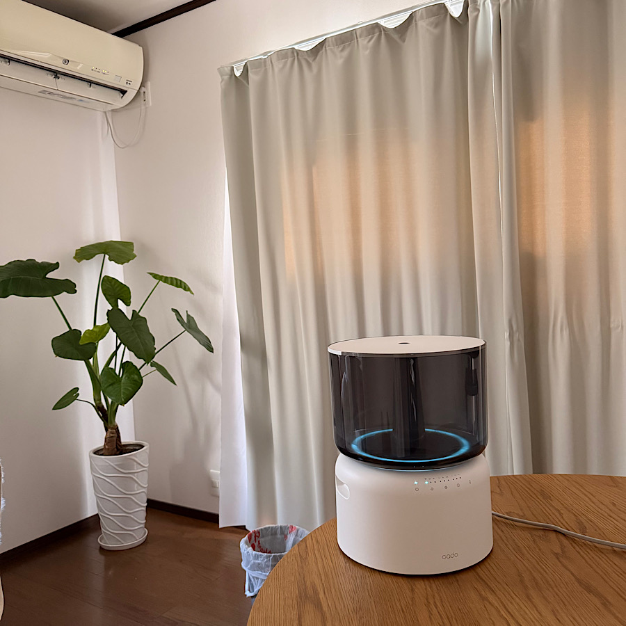 cado（カドー） 2大特典［ 加湿器 STEM 500H オートクリーン 加熱 除菌