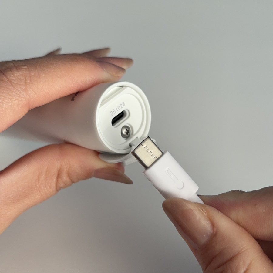 ポケットドルツ パナソニック 音波振動ハブラシ Doltzドルツ EW-DM74