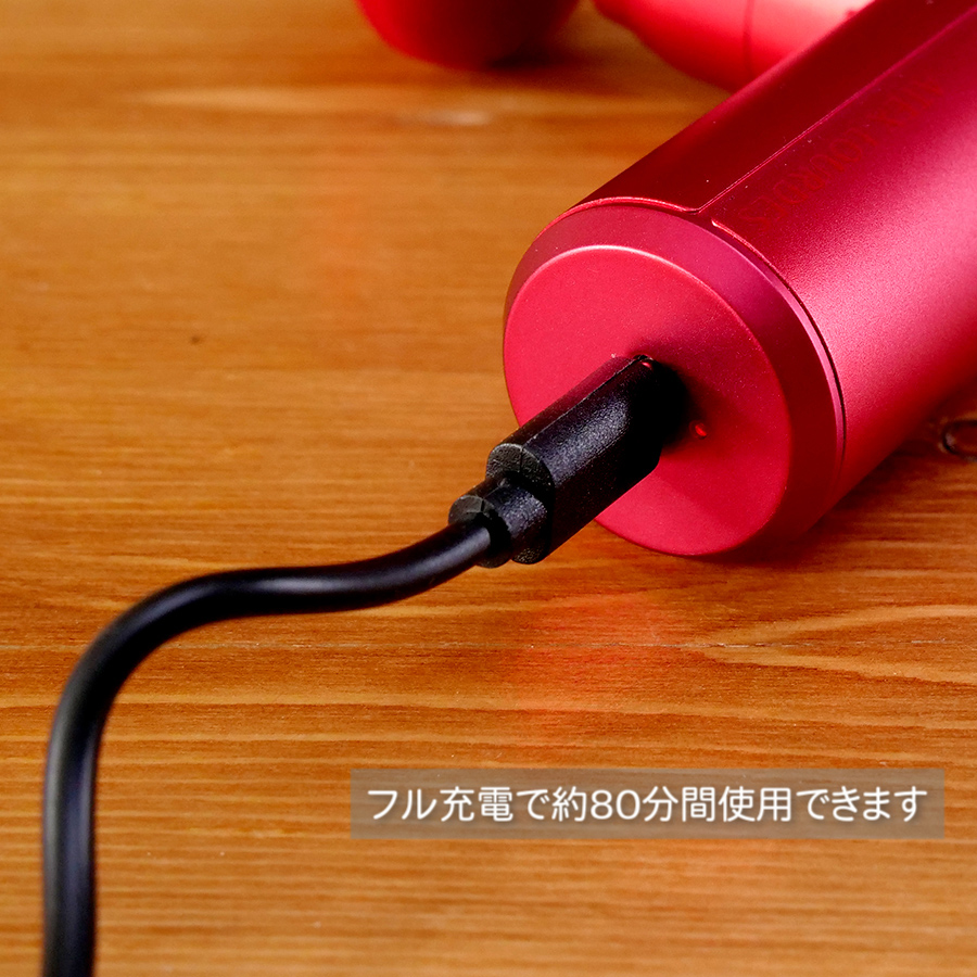 ルルド アテックス ATEX ルルドガン プラスアーム レッド AX-HX336