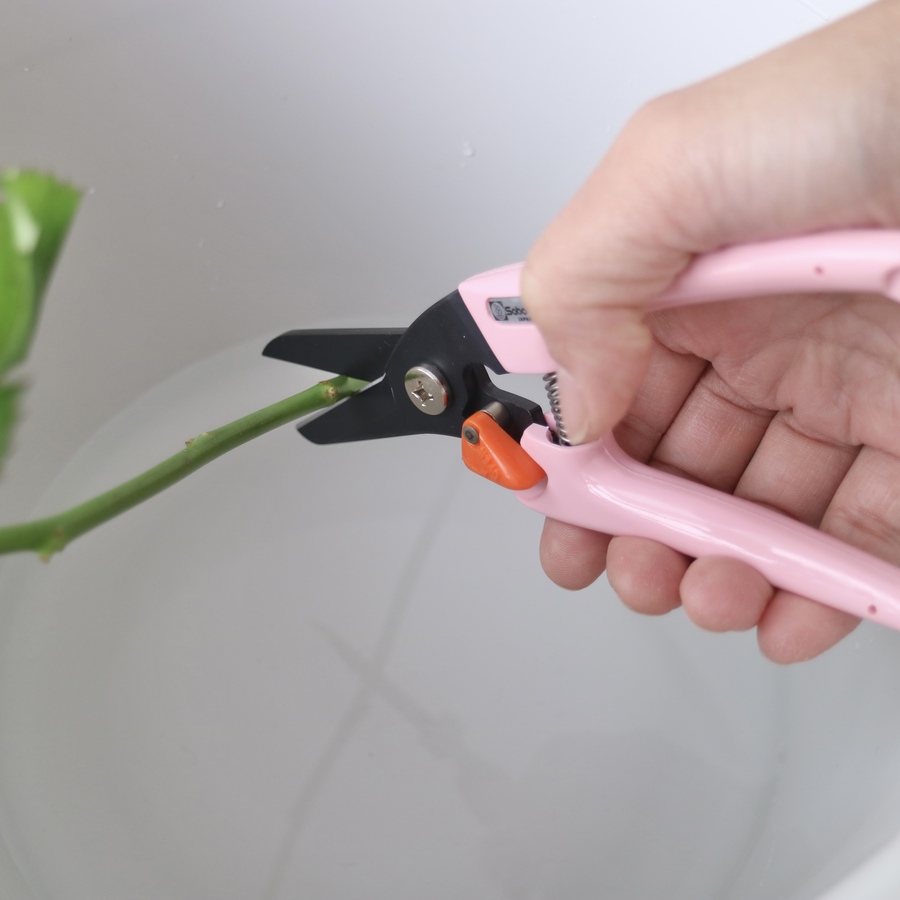 サボテン レディーススリム剪定鋏 ピンク : ToolStyle - 通販 - Yahoo
